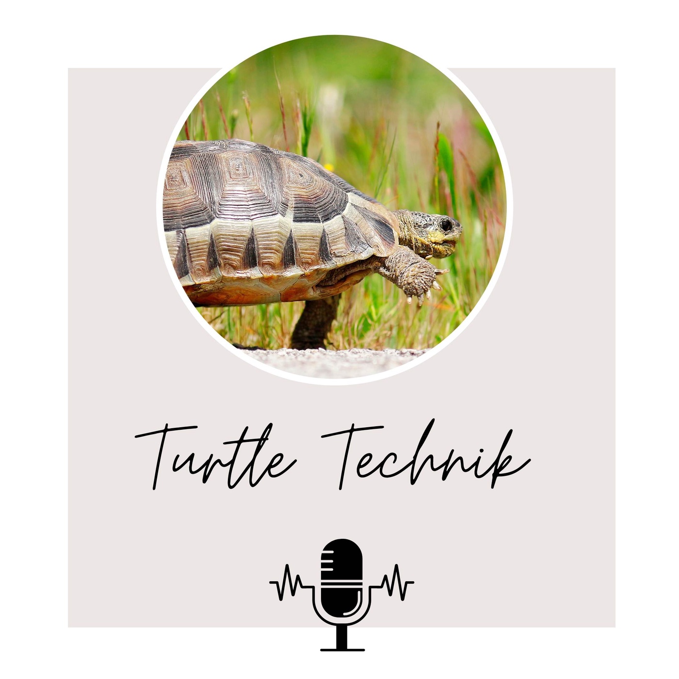 Die Turtle-Technik