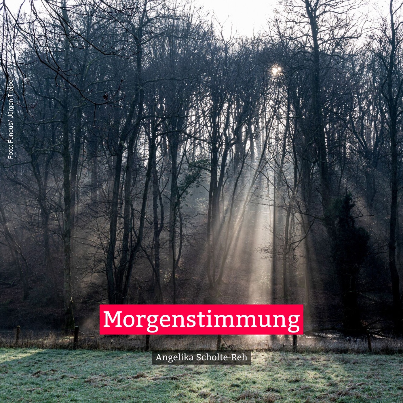 Morgenstimmung