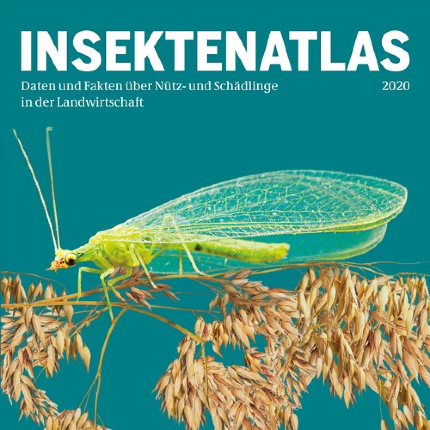 Insektenatlas: Insektensterben und Landwirtschaft – Ein Einstieg (1/3)