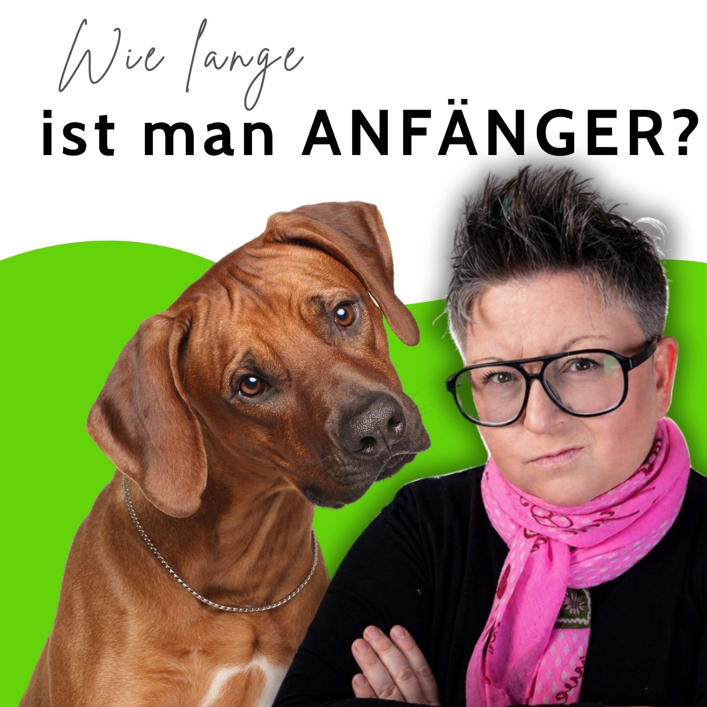 Ab wann bist du kein Hundeanfänger mehr?