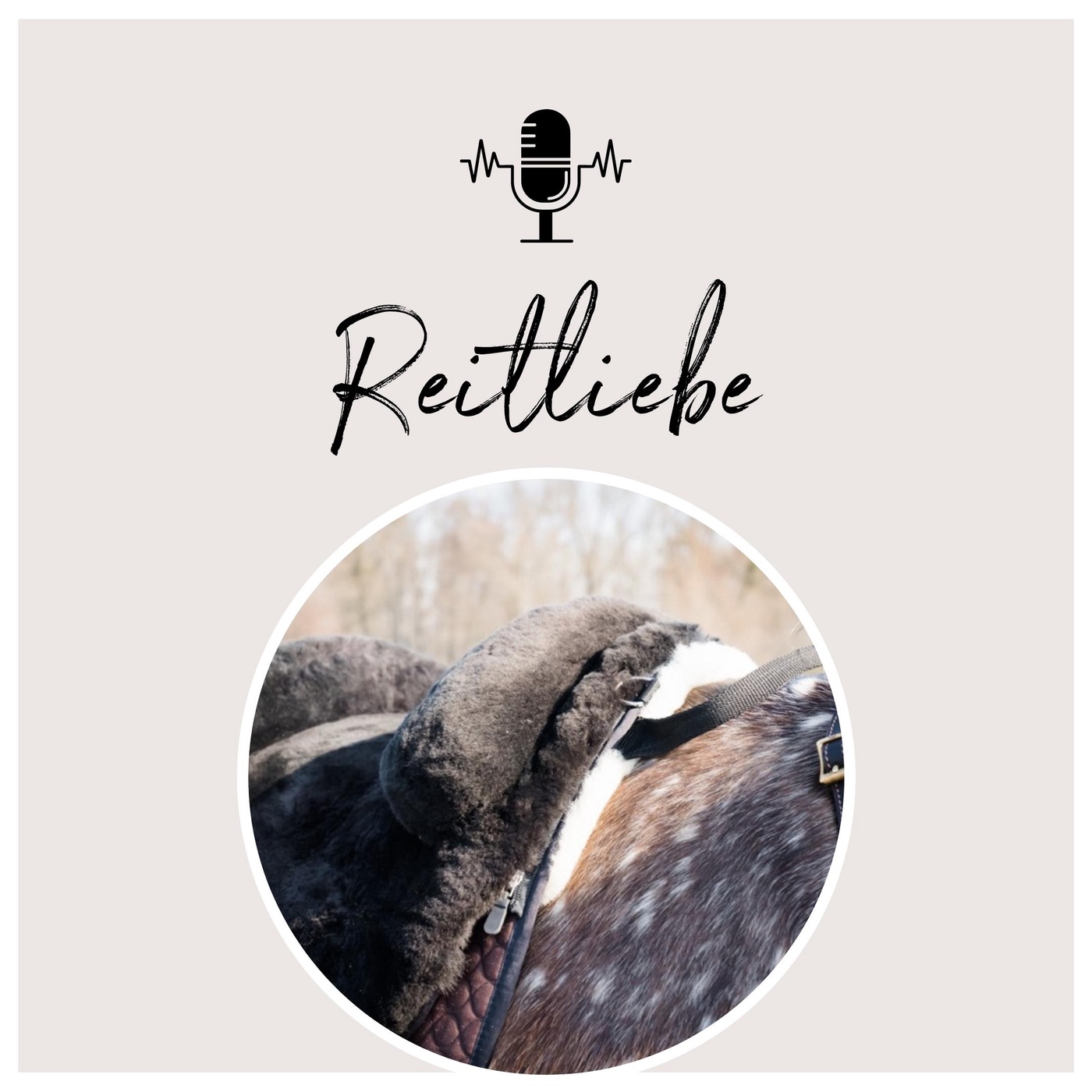 Übergänge richtig Reiten