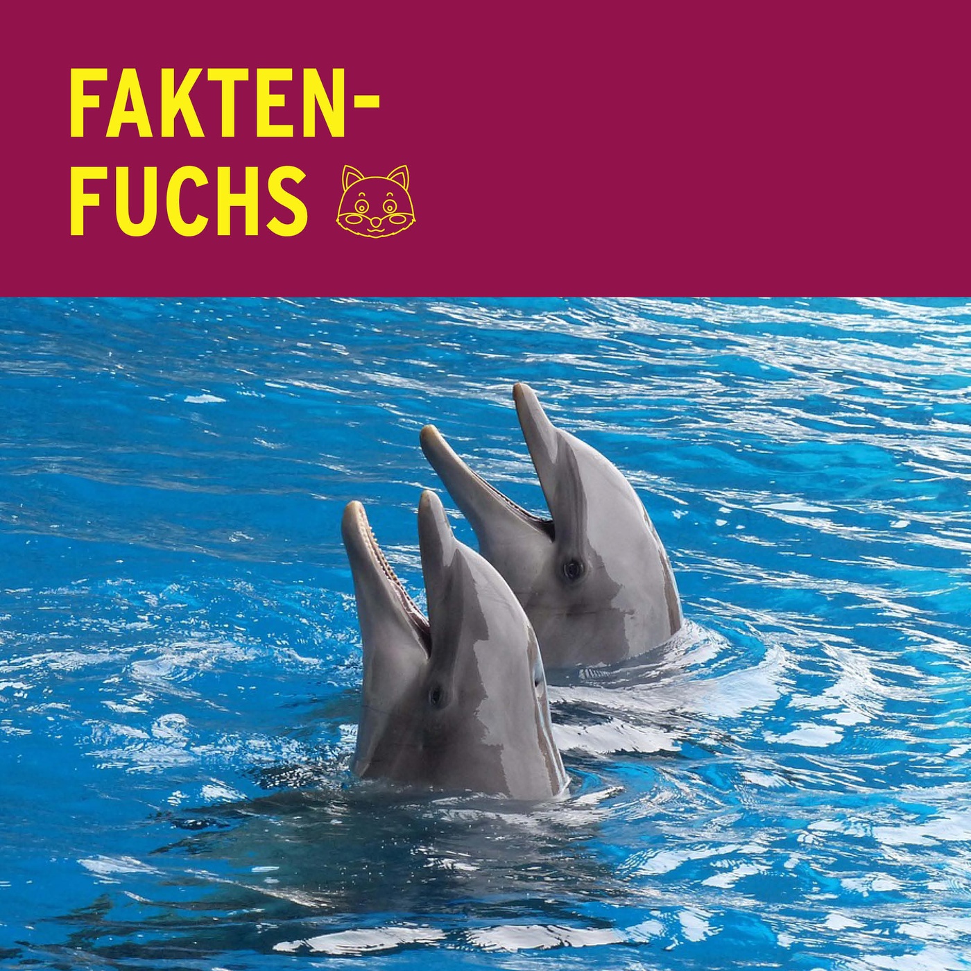 Faktenfuchs: Delfine 