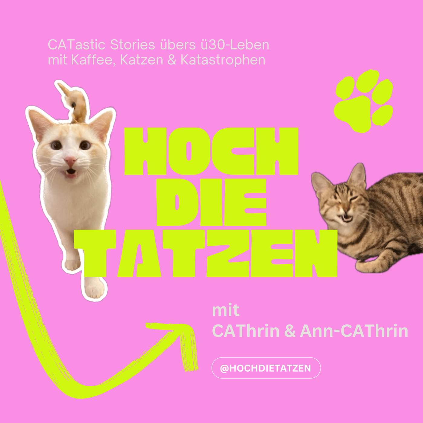 #4.1 Cry-Cathrin hat Katzenkummer