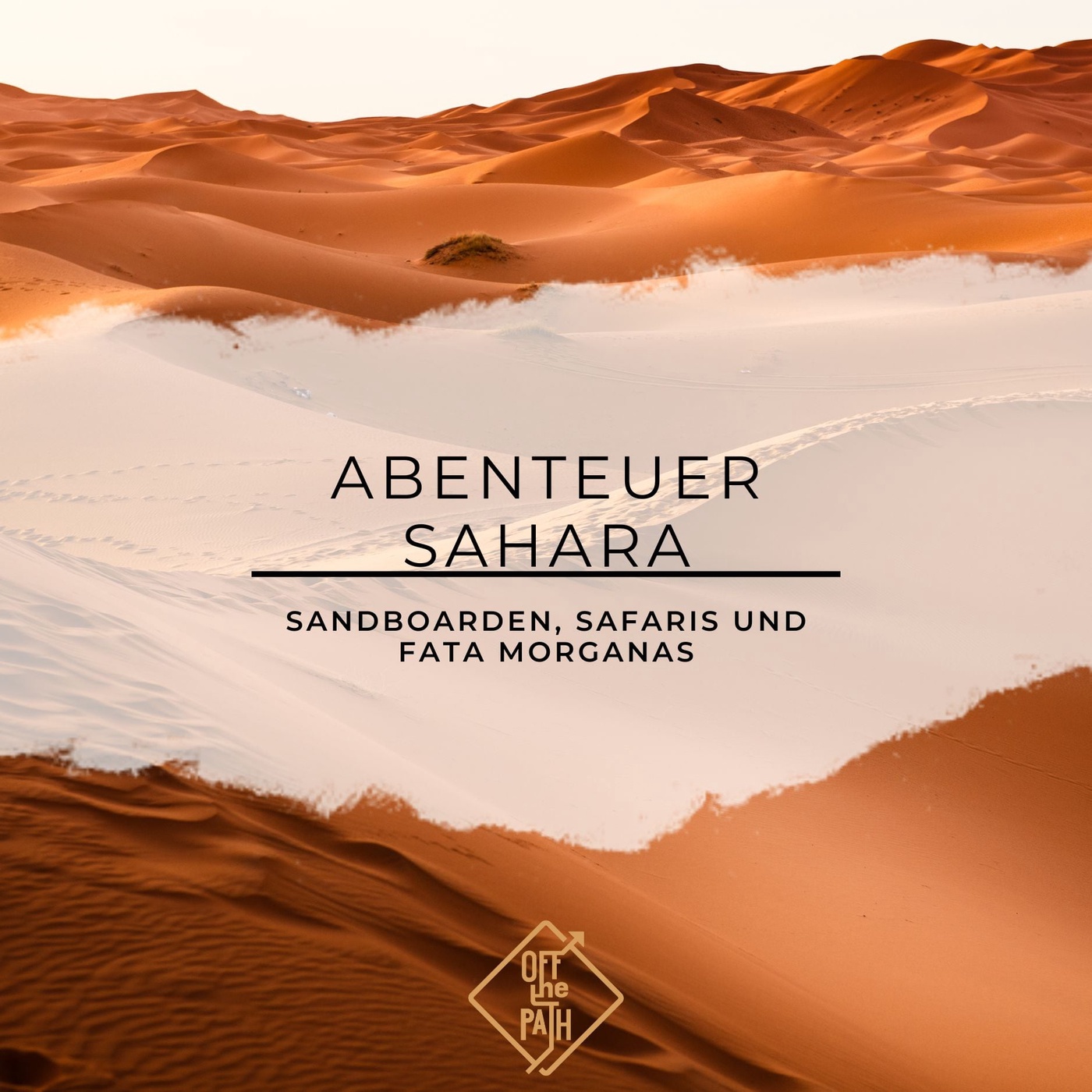 Abenteuer Sahara: Sandboarden, Safaris und Fata Morganas