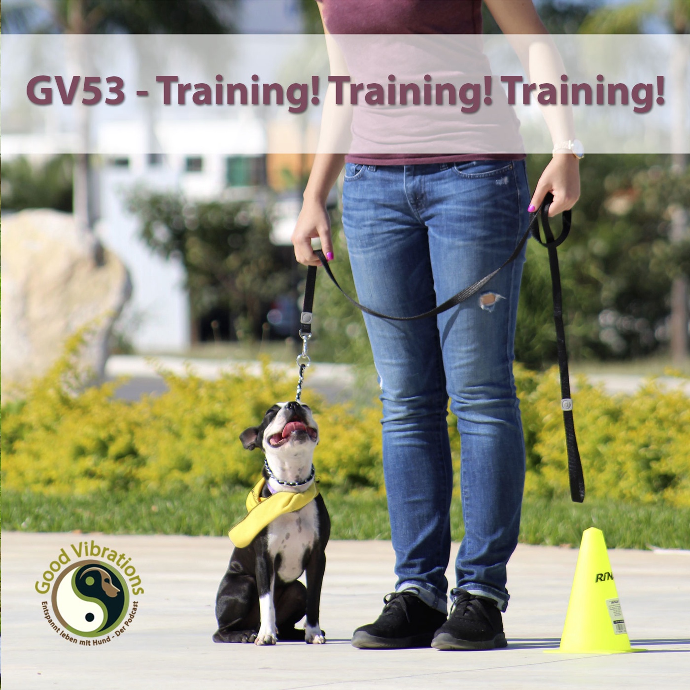 GV 53_Training! Training! Training!