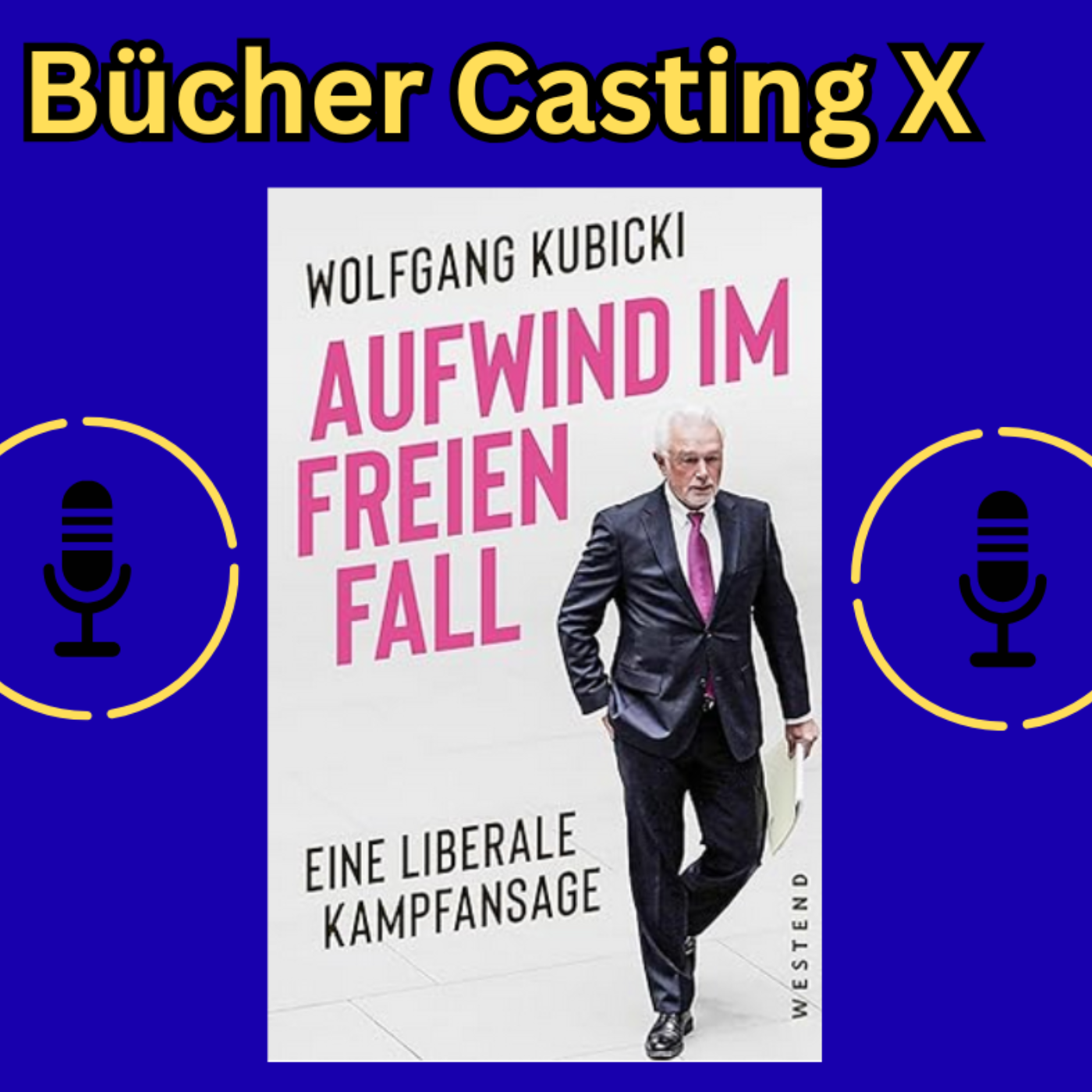 Aufstieg im freien Fall - Eine liberale Kampfansage