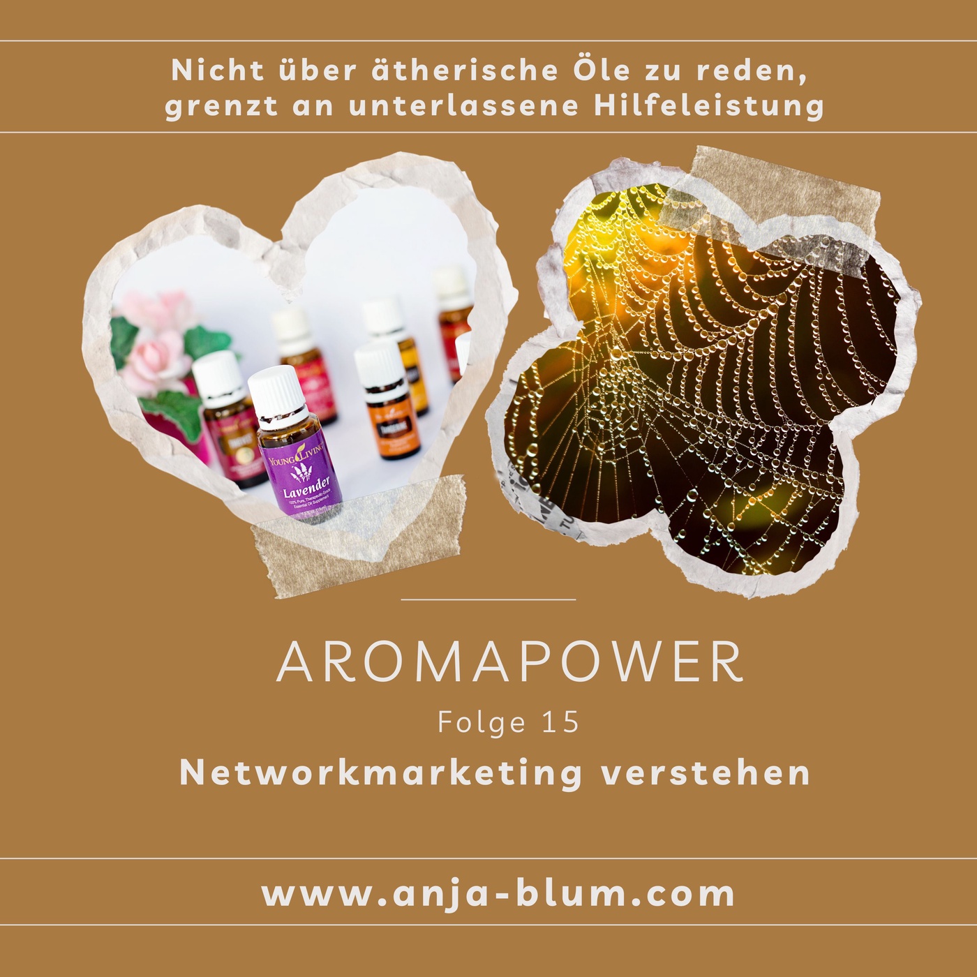 Networkmarketing verstehen