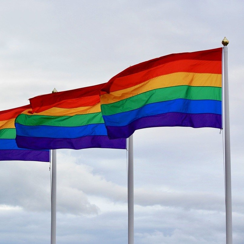 Happy Pride Month!