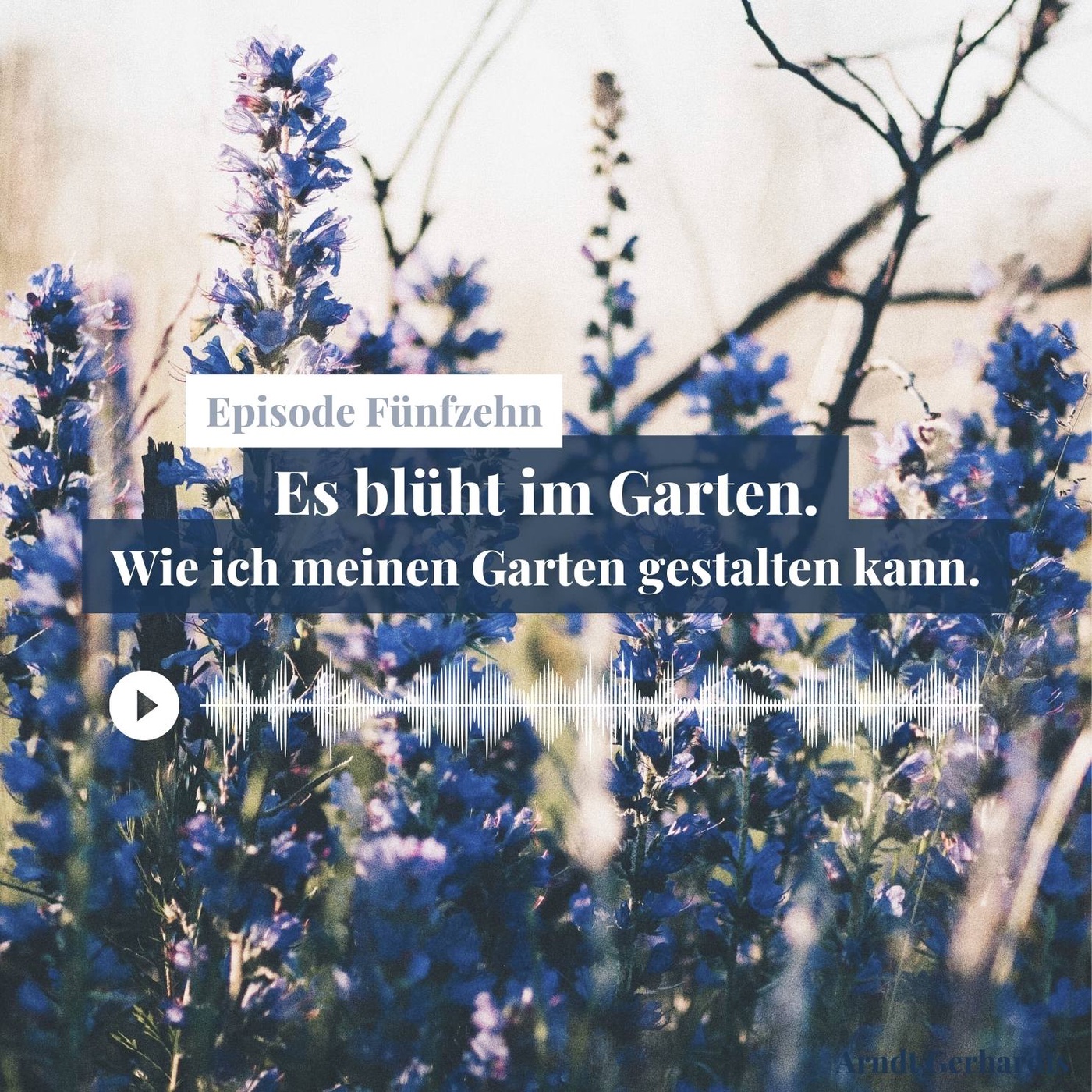 Es blüht im Garten - Wie ich meinen Garten gestalten kann