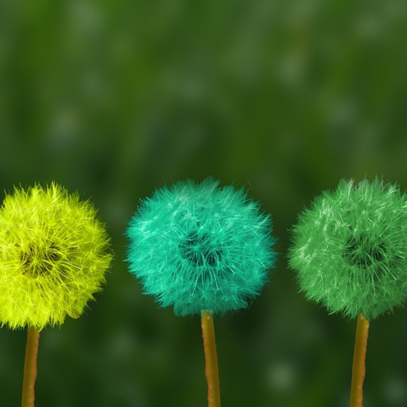 Bewusstsein, Ebenen und Stufen 