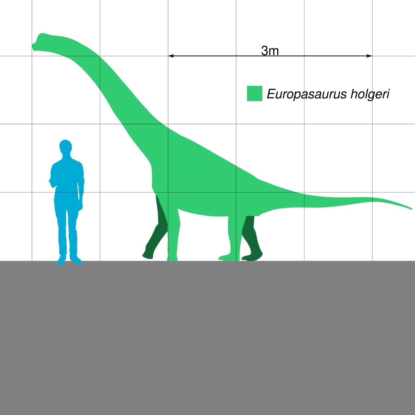 B-002: Der Europasaurus, mit Dr. Kristina Eck
