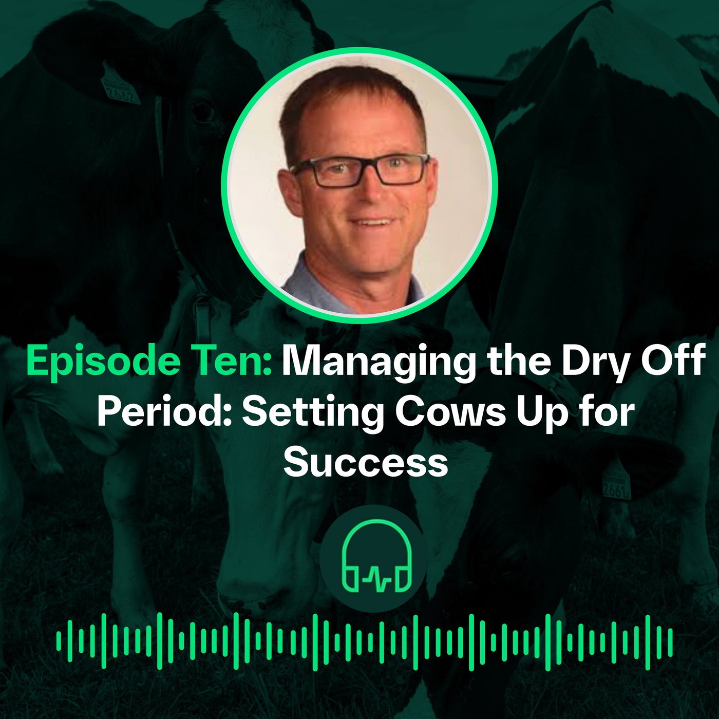 Managing the Dry Off Period || Prise en charge de la période de tarissement 