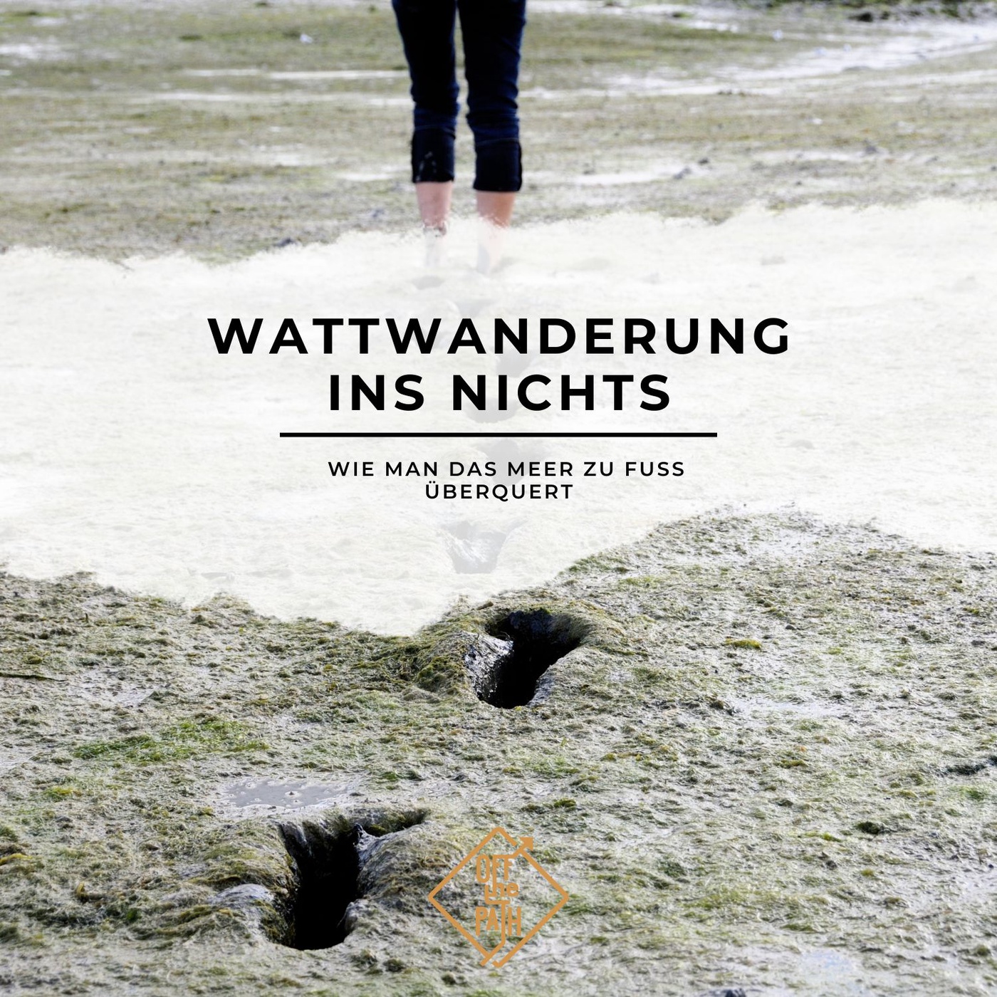 Wattwanderung ins Nichts – Wie man das Meer zu Fuß überquert