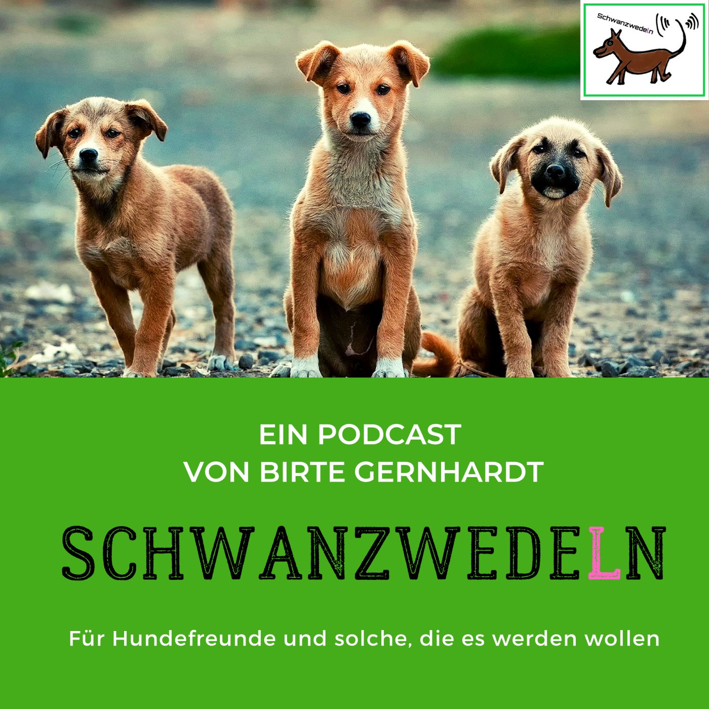 35 Alex hilft... Thema: Hunde allein lassen