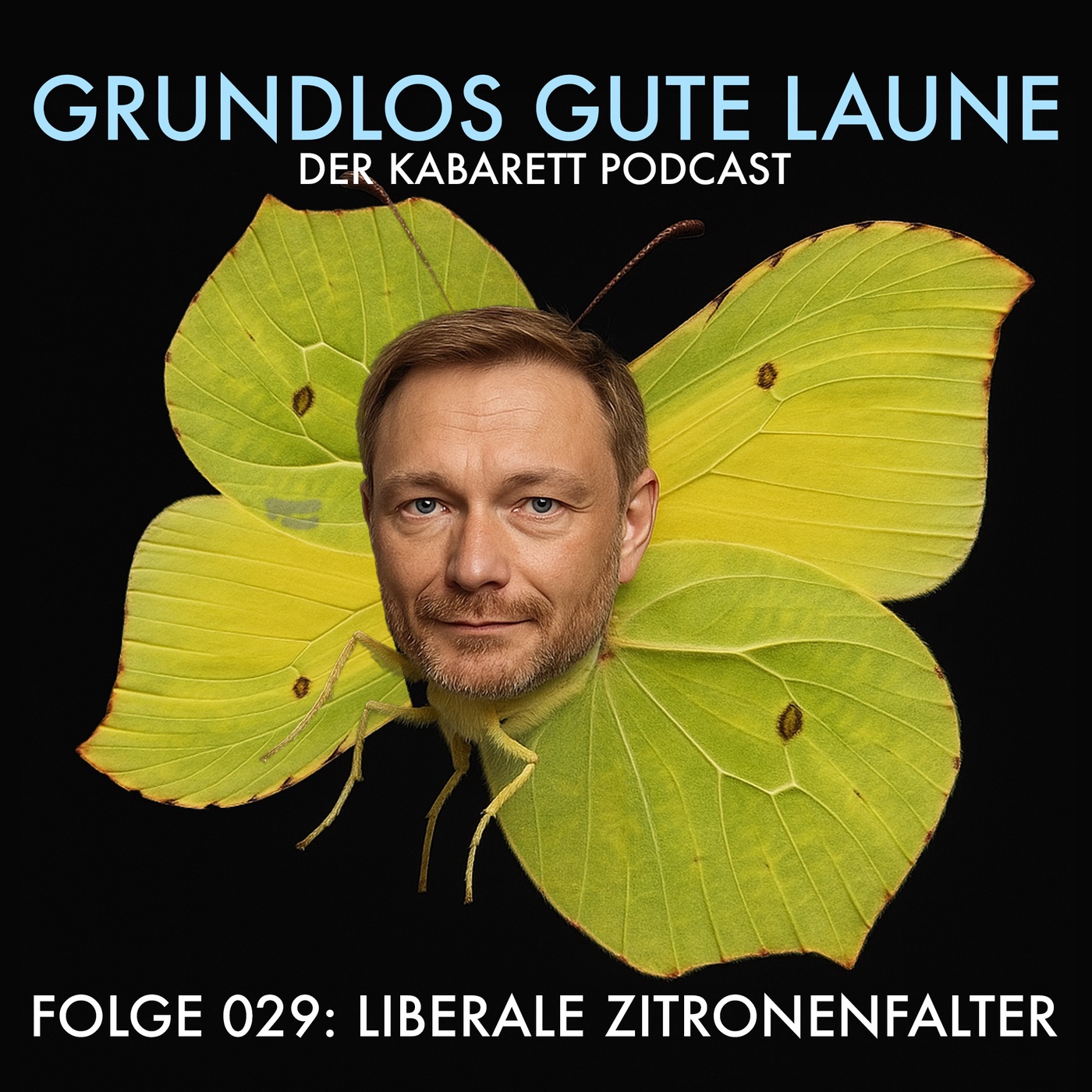 Liberale Zitronenfalter