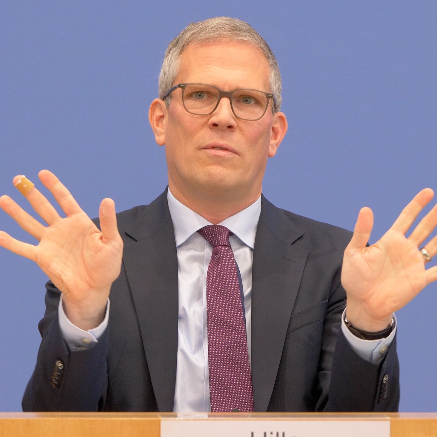 RegPK | 17. November 2025 | Blütenblätter