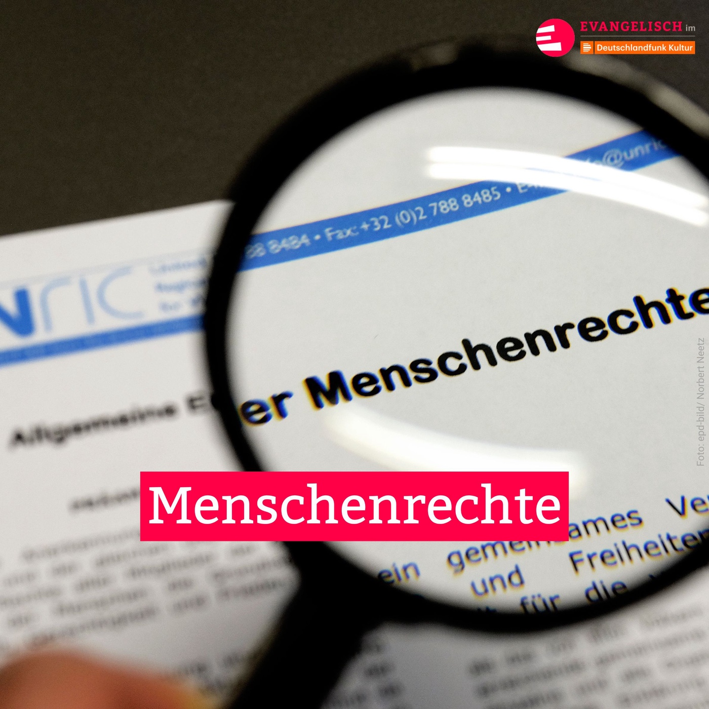 Menschenrechte