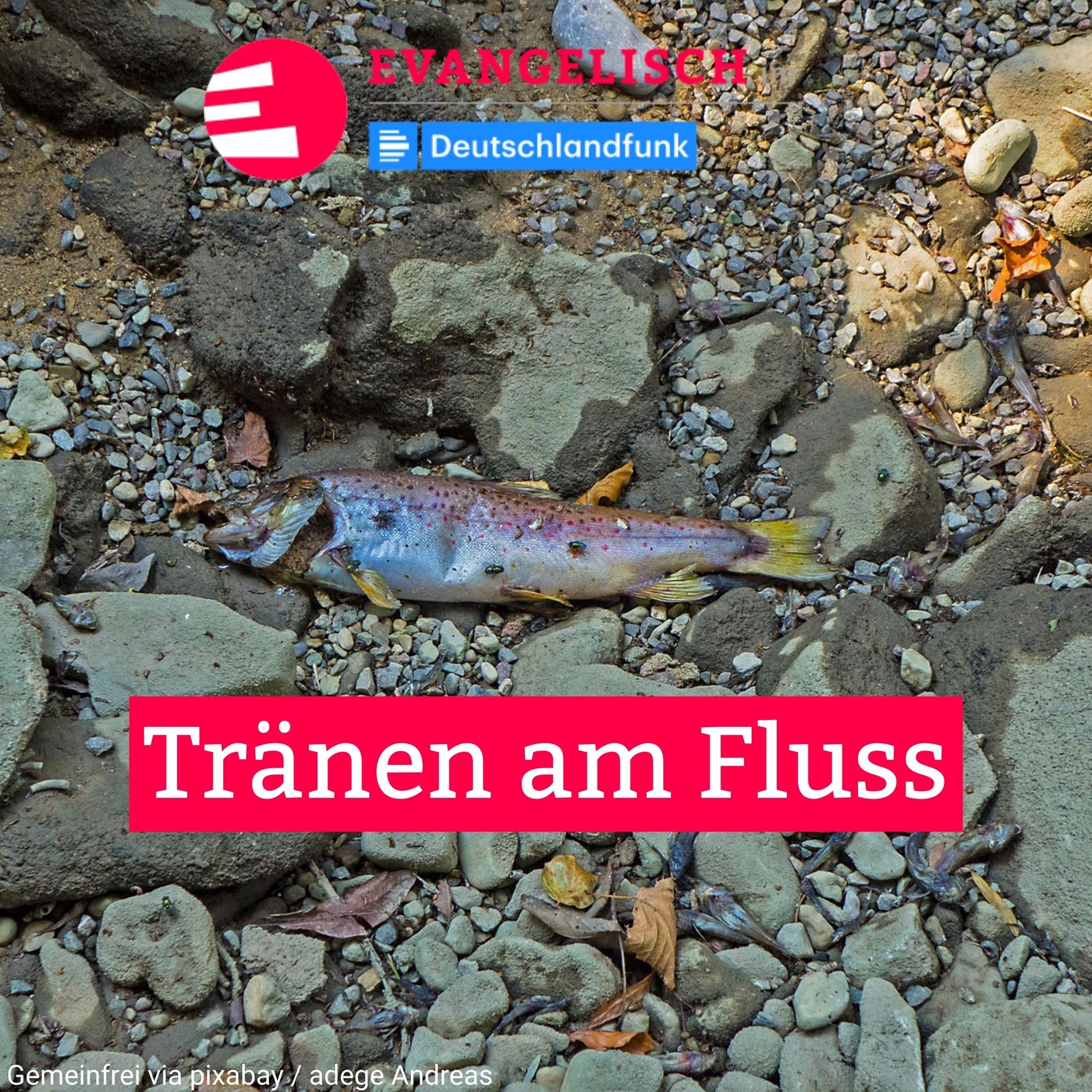 Tränen am Fluss
