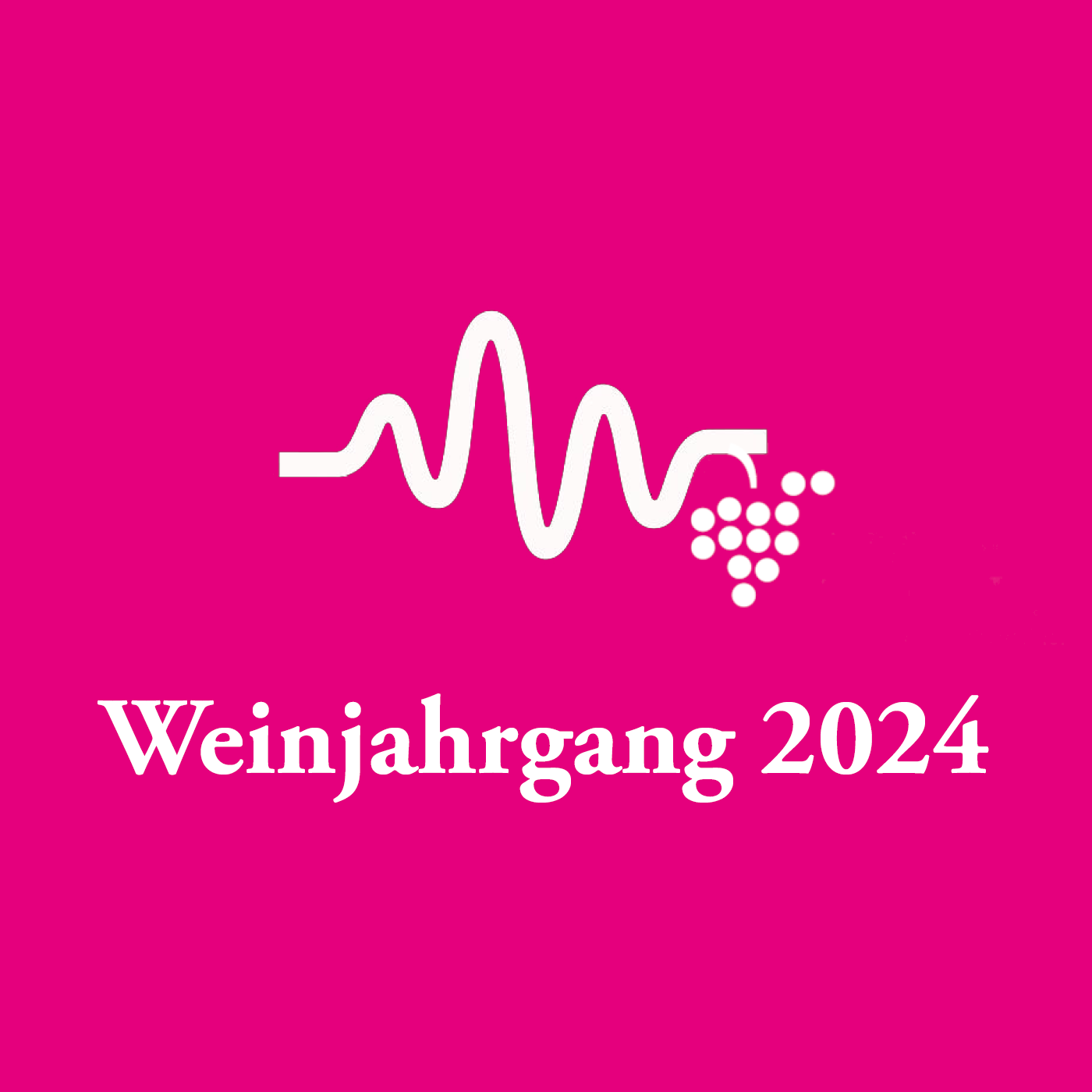 Weinjahrgang 2024