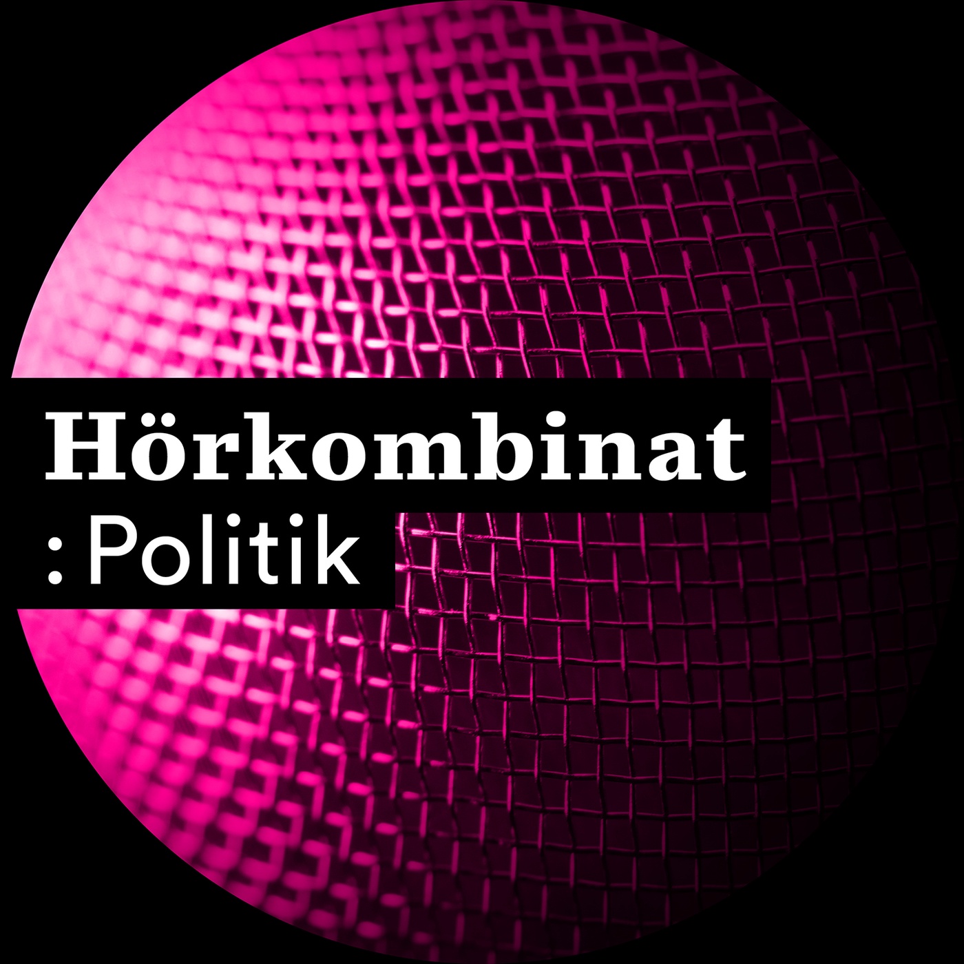 Trailer Hörkombinat :Politik