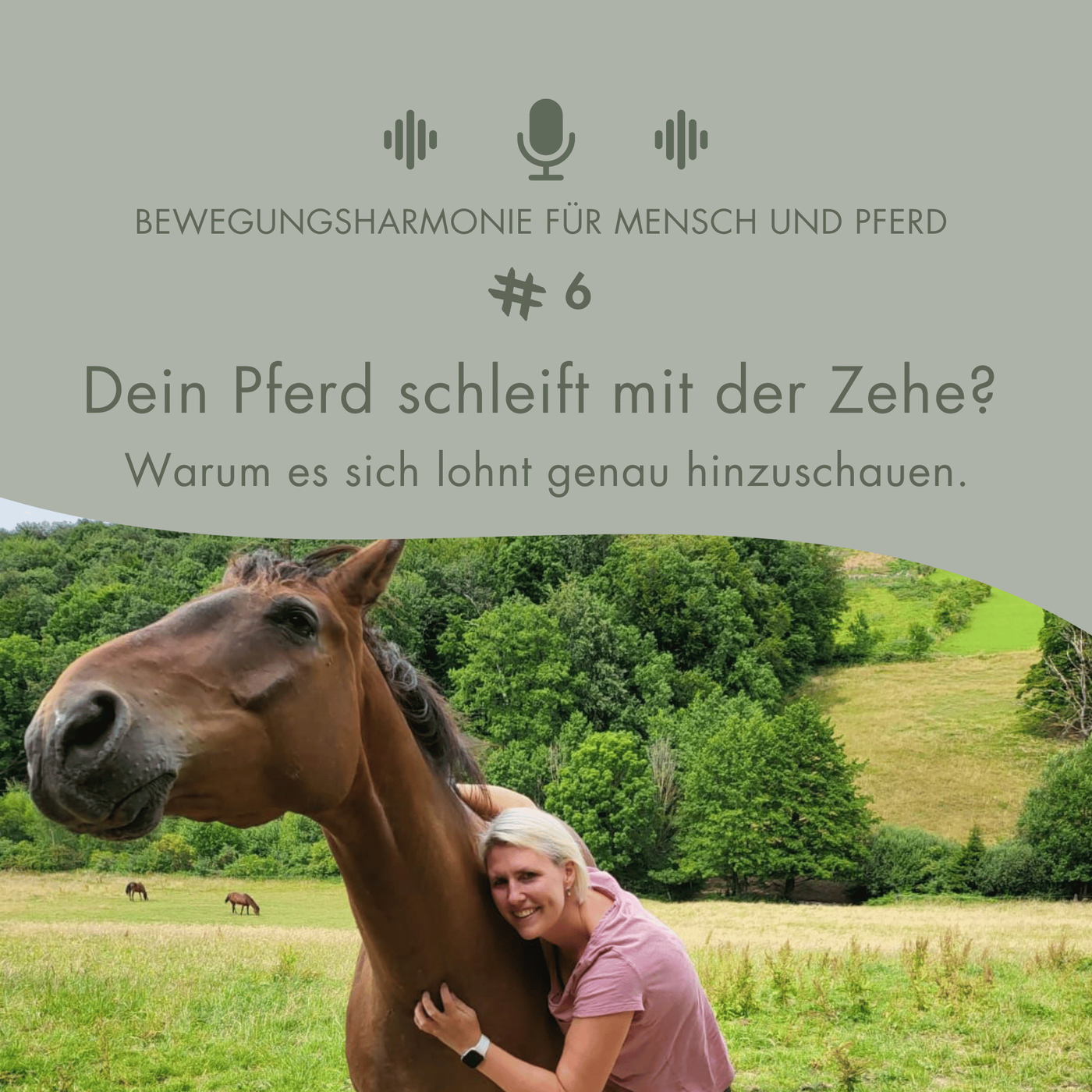 #6 Dein Pferd schleift mit der Zehe? Warum es sich lohnt genau hinzuschauen.