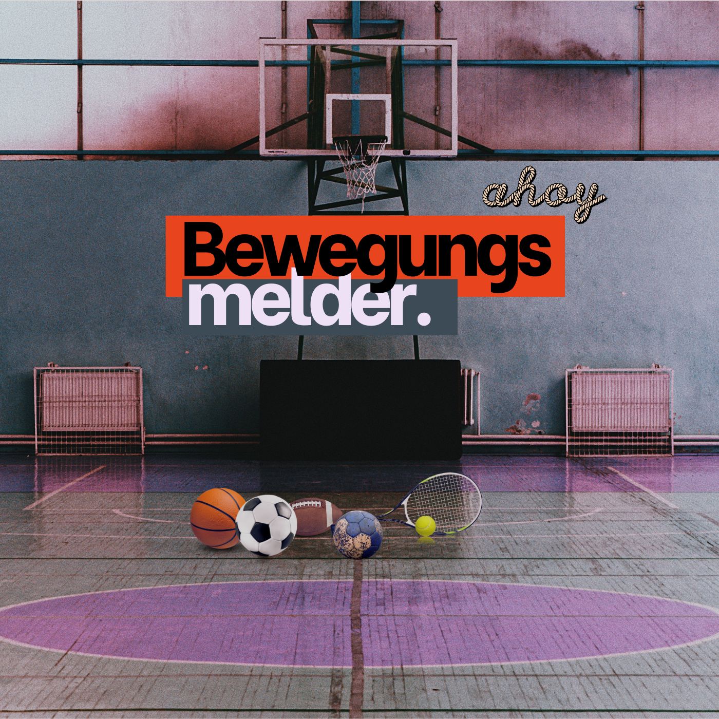 ahoy-Bewegungsmelder