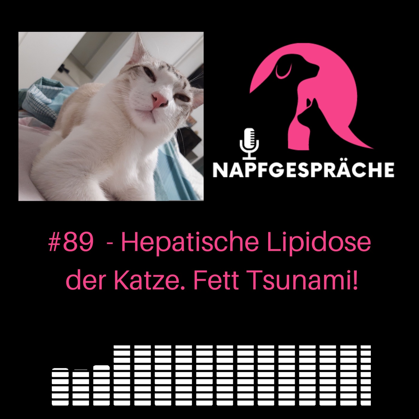 #89 - Hepatische Lipidose der Katze