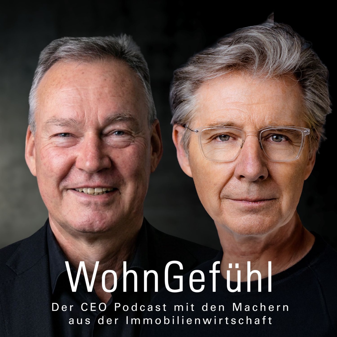 Warum findet die Wohnungswirtschaft so wenig Gehör in der Politik, Axel Gedaschko? 