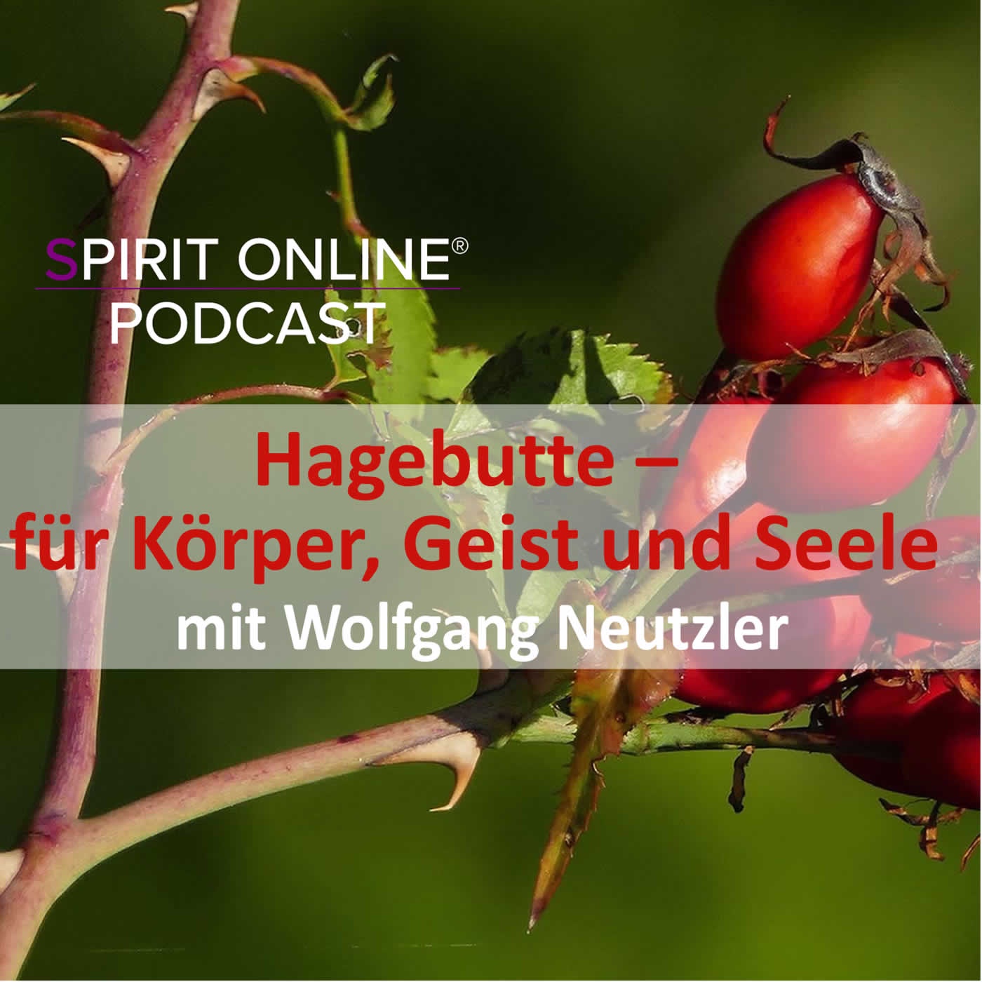 Hagebutte – für Körper, Geist und Seele - mit Wolfgang Neutzler