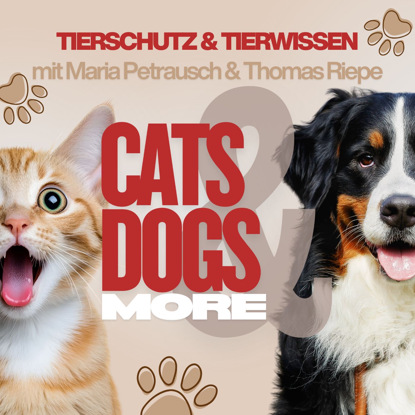 CATS & DOGS & MORE
