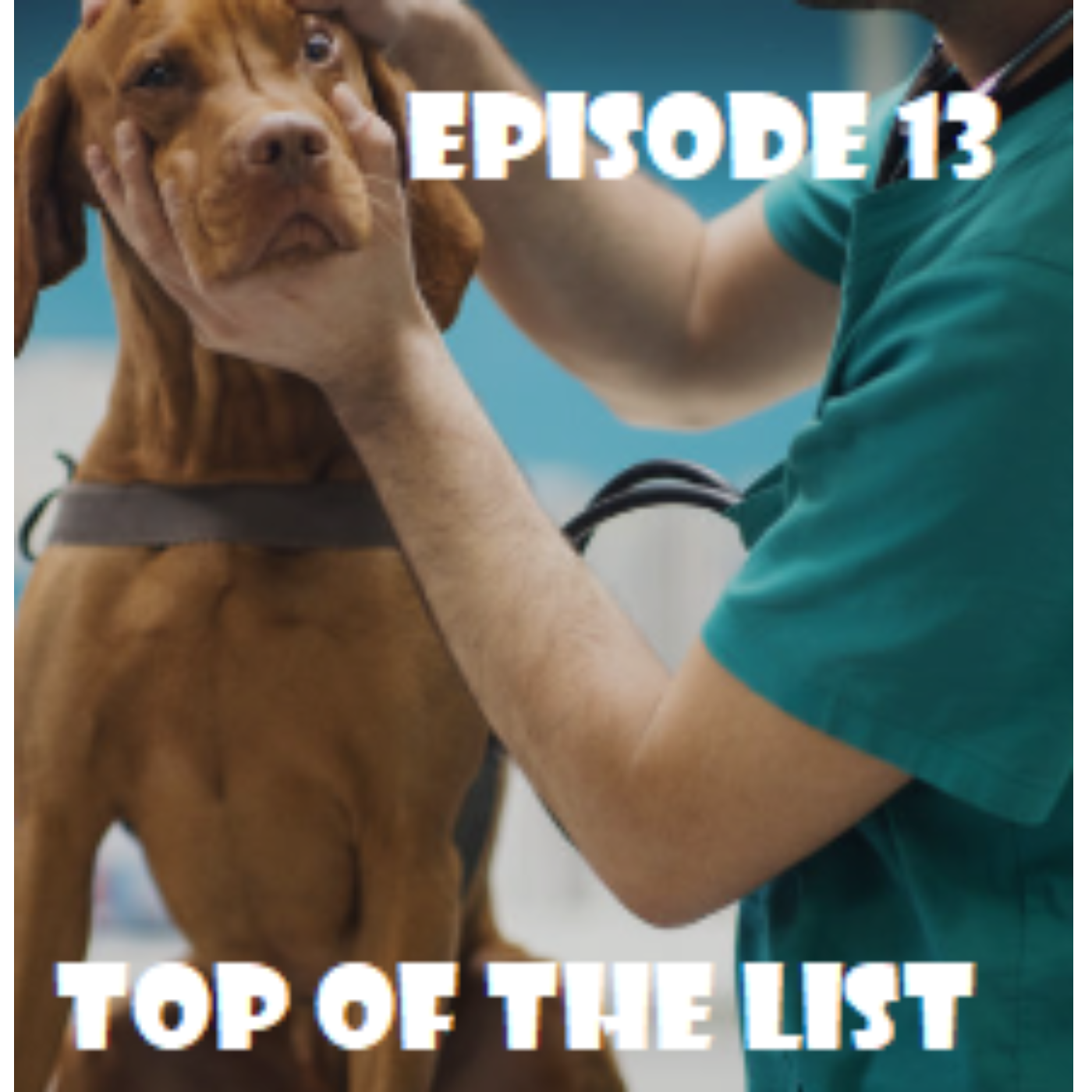 Episode 13 - Beim Tierarzt