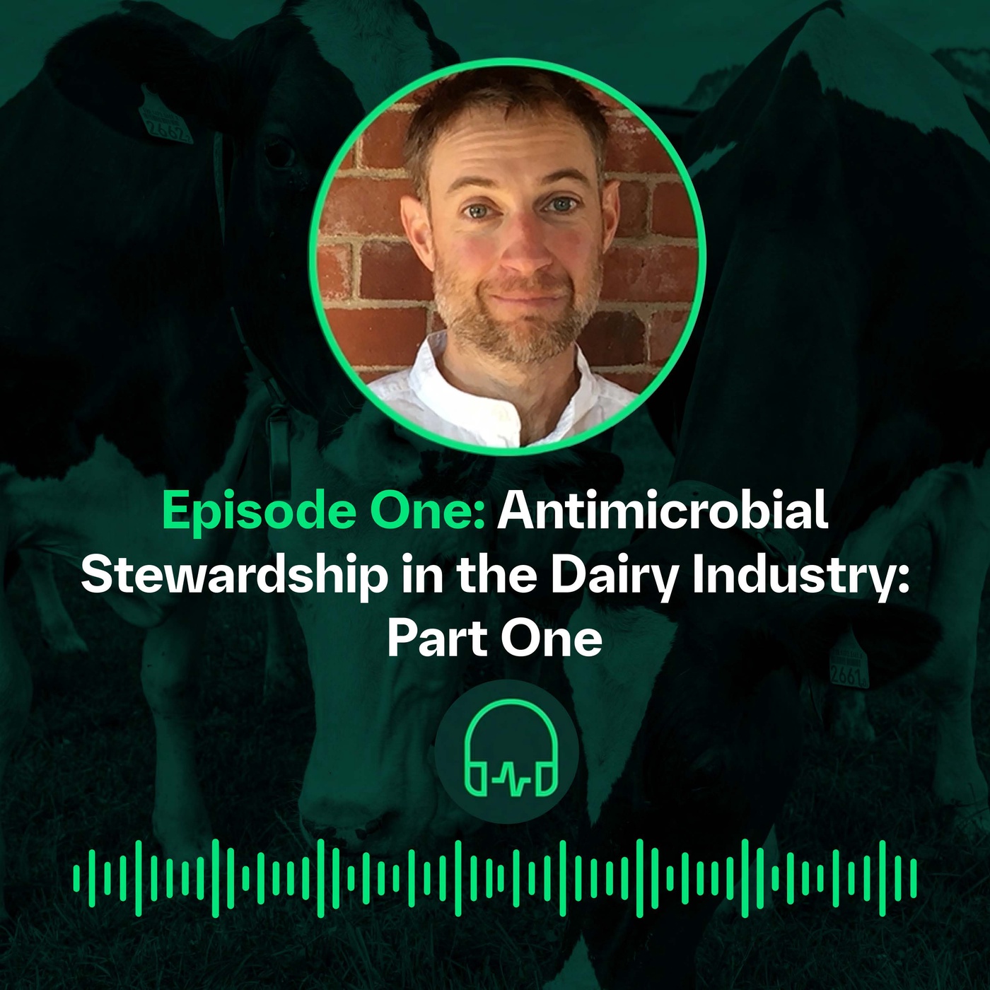 Antimicrobial Stewardship in the Dairy Industry - P1 || La gestion des antimicrobiens dans l'industrie laitière - P1