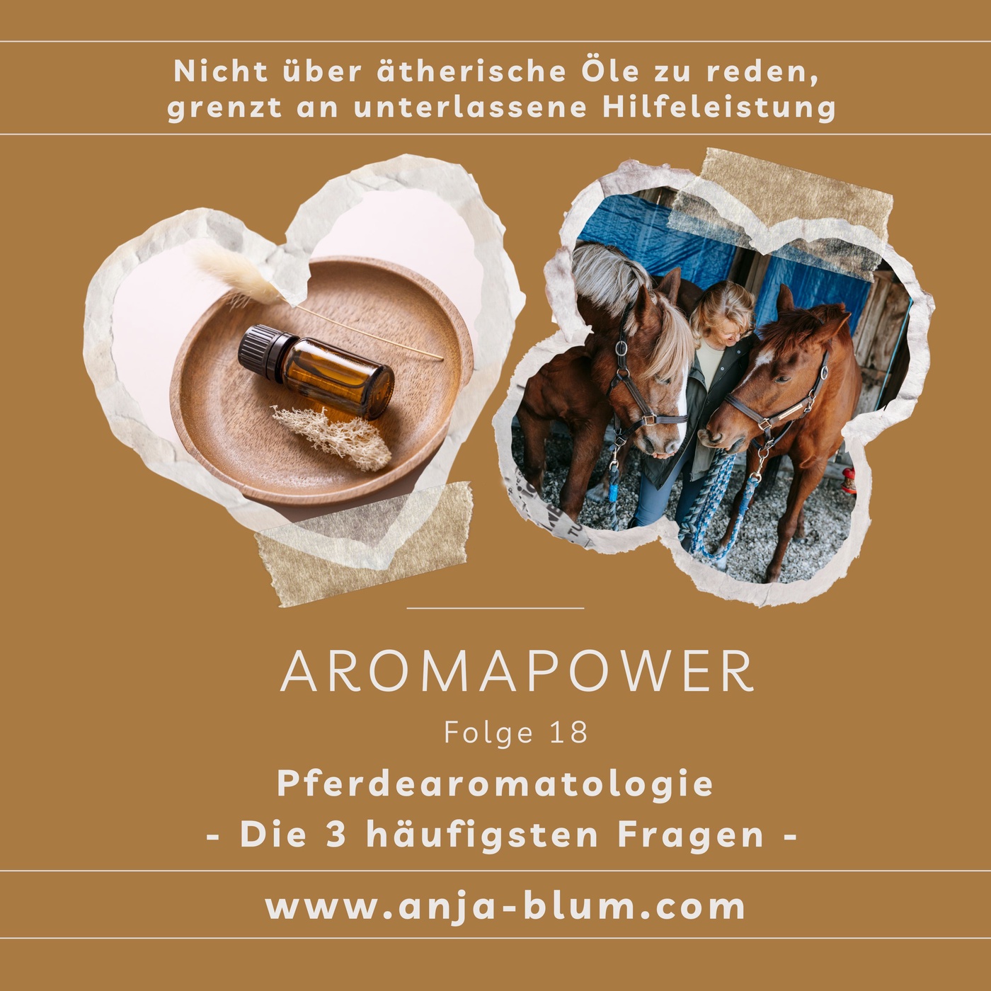 Pferdearomatologie
