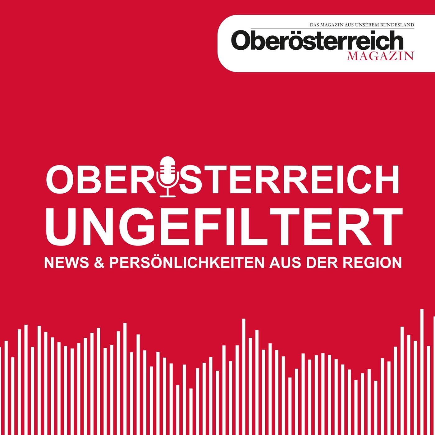 Gastgeberin Resa Walchshofer im Podcast-Talk