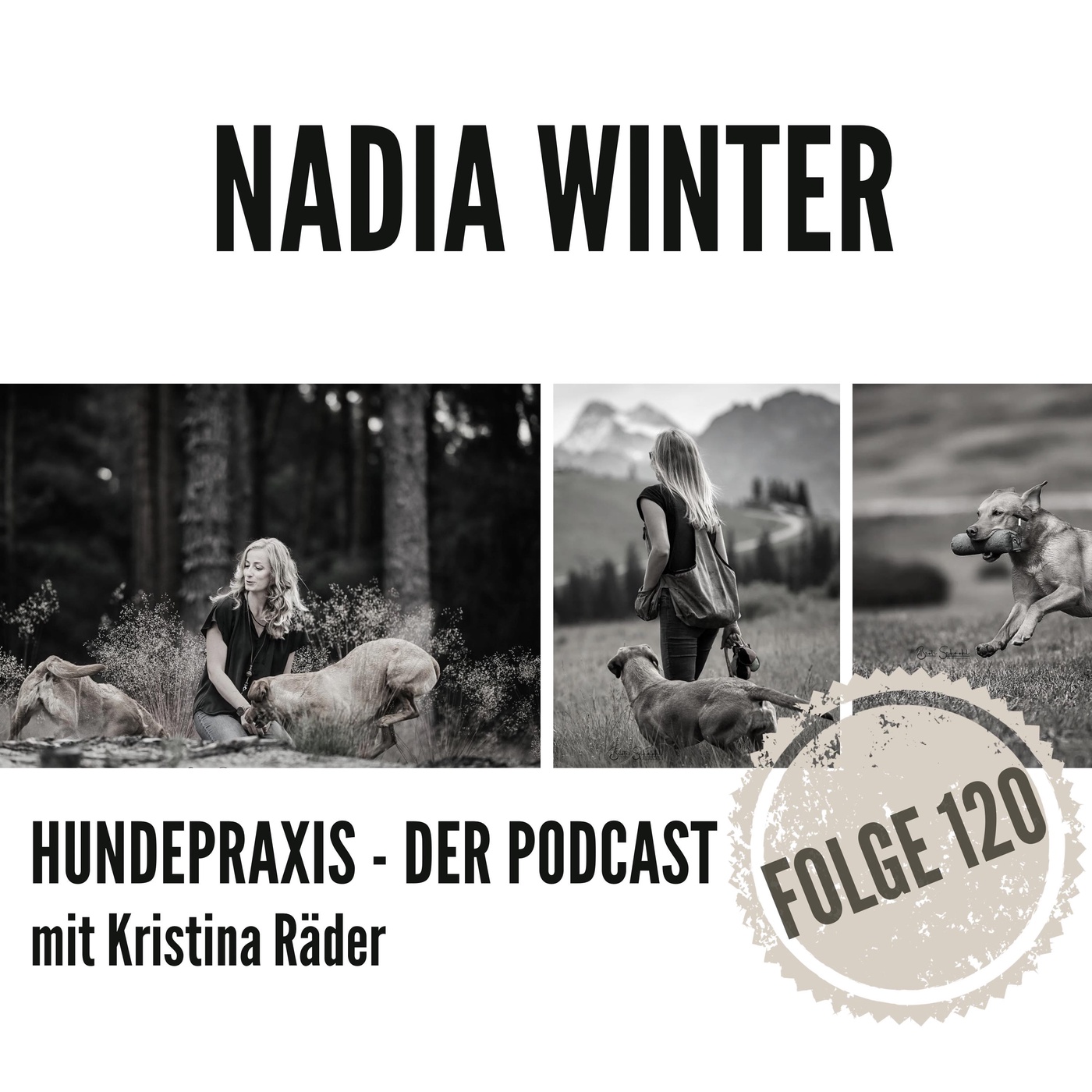 Was war das Bild von einem Hund?