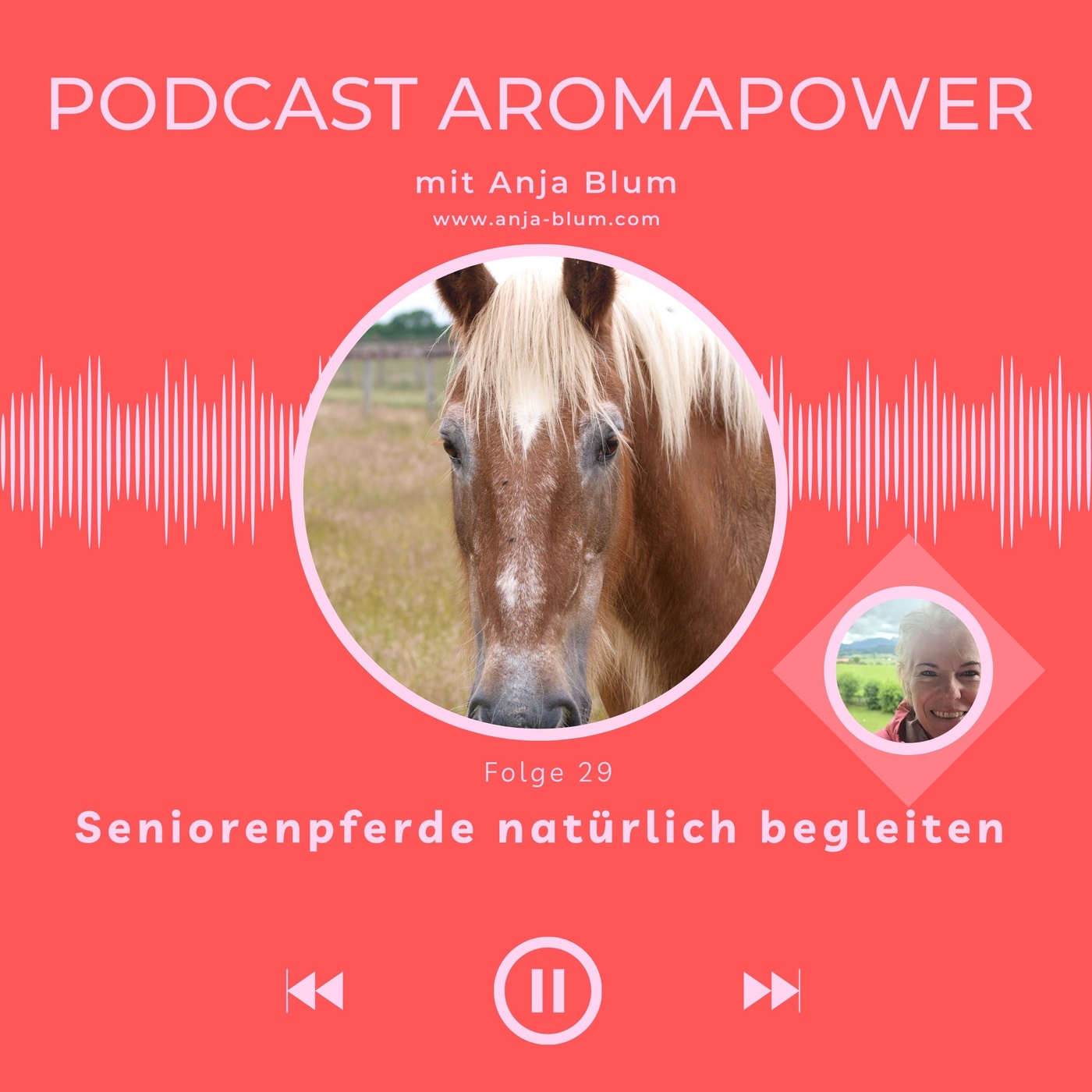 Seniorenpferde natürlich begleiten