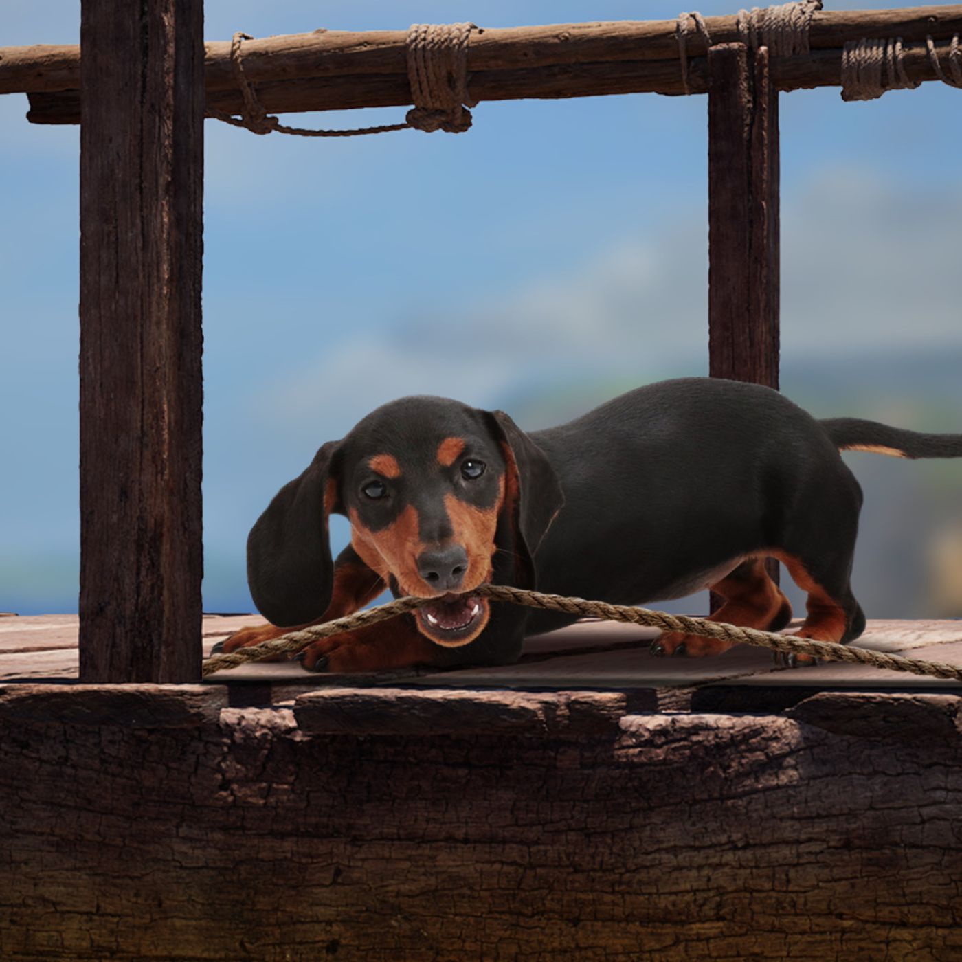 The Lost Dachshund (PC)