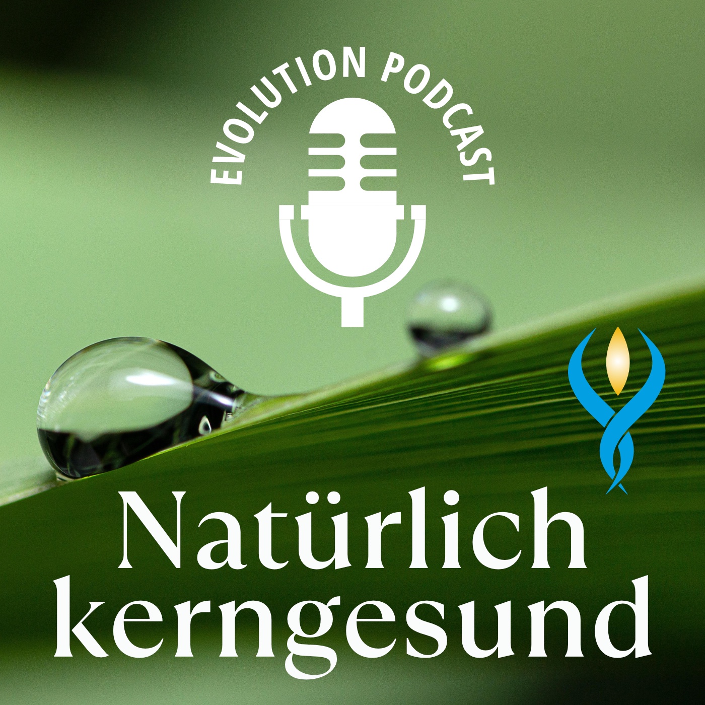 Christine Baumann: Entgiftung