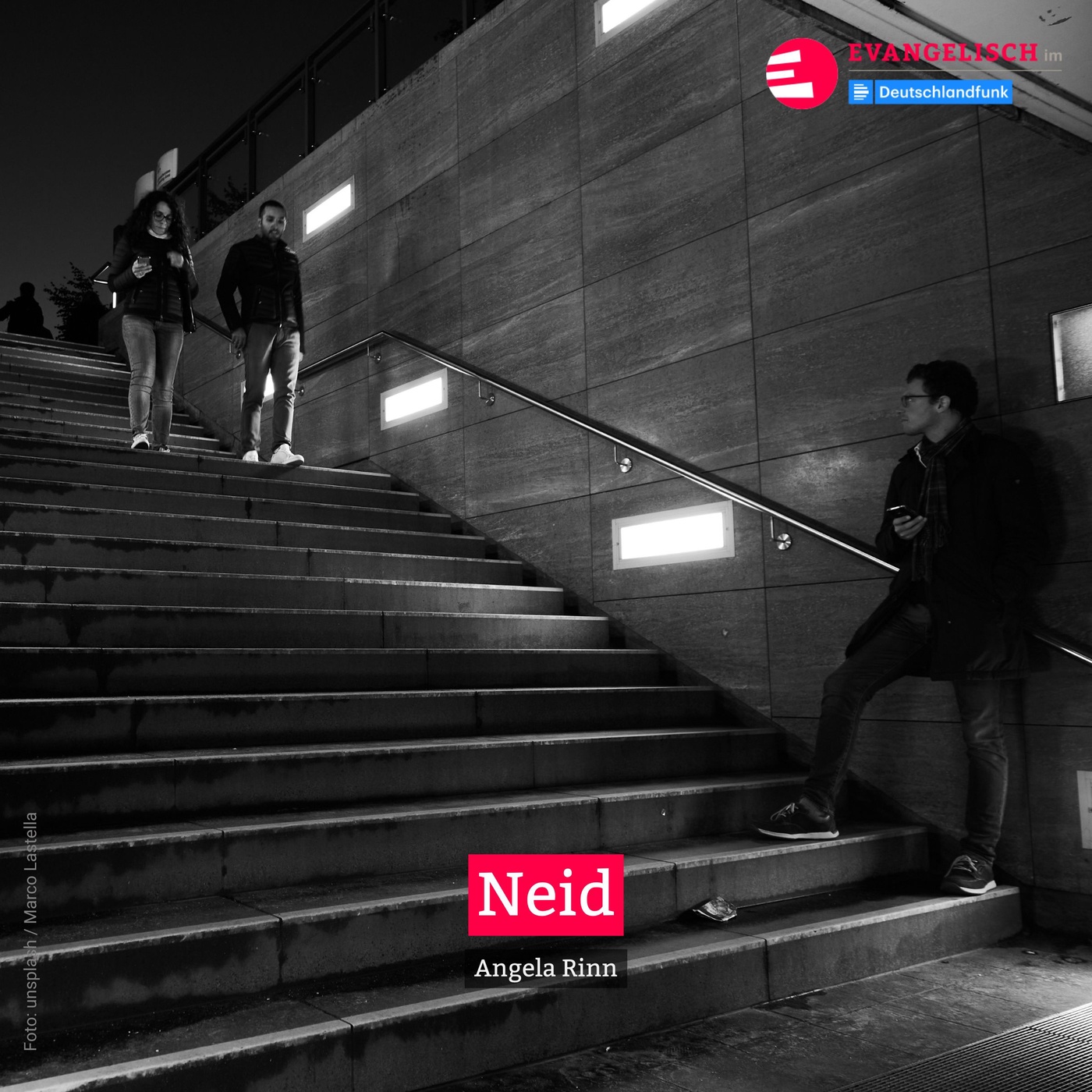 Neid