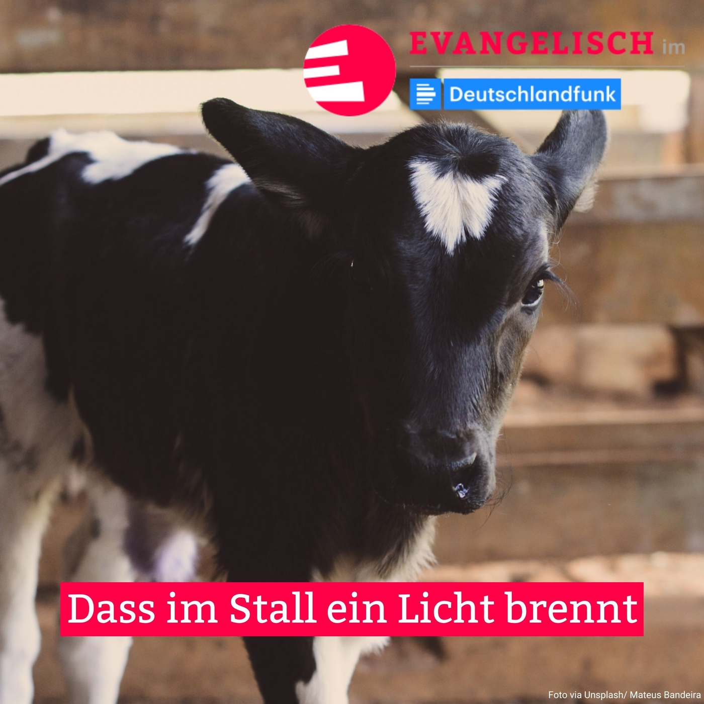 Dass im Stall ein Licht brennt