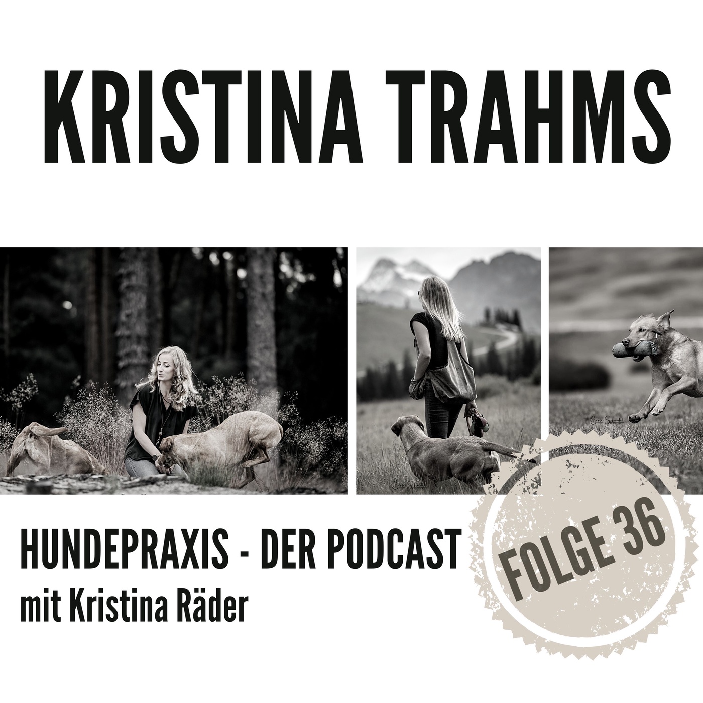 Hundekanzlei - Kristina Trahms