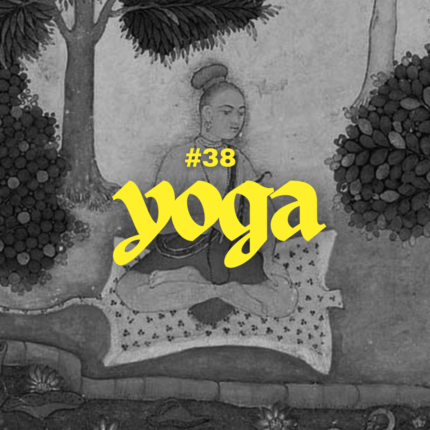 #38 - Yoga