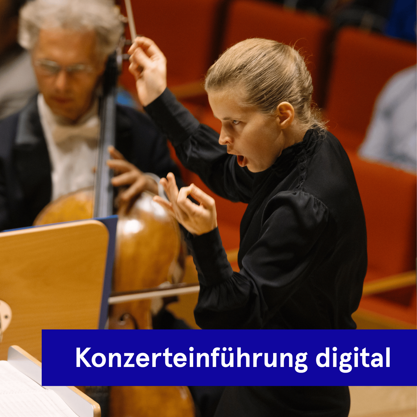 Digitale Konzerteinführung | Tabita Berglund mit Schubert