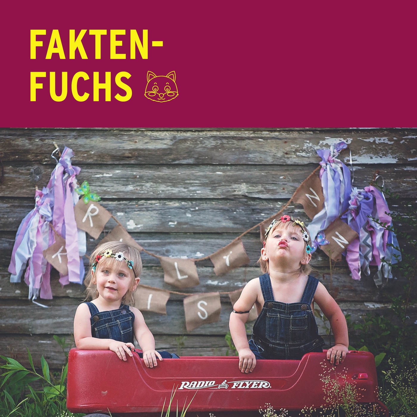 Fakten-Fuchs: Zwillinge