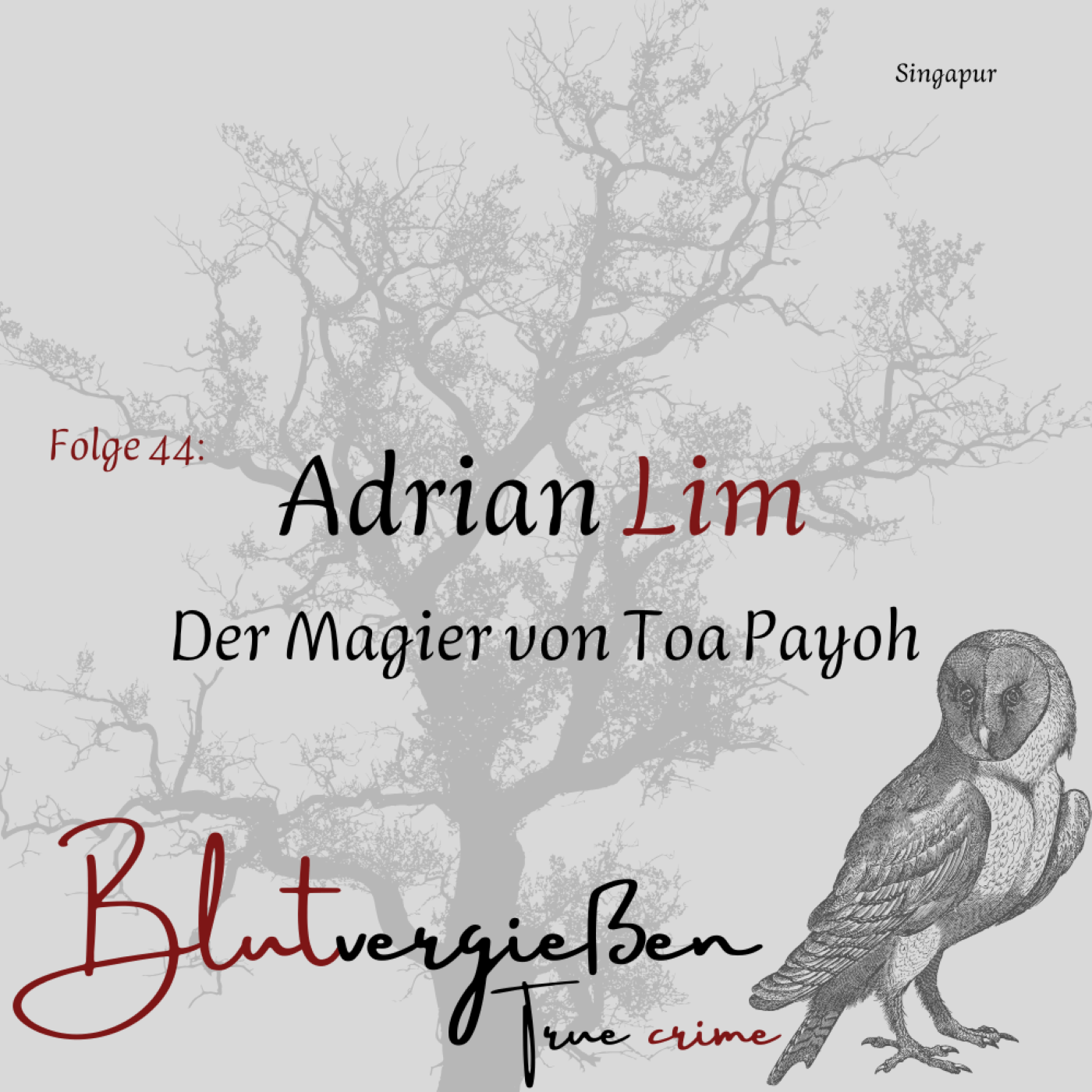 #44 Adrian Lim - Der Magier von Toa Payoh