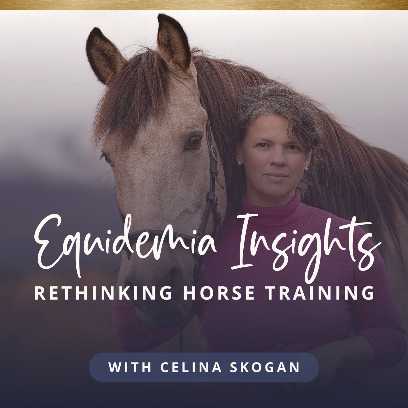 Why Horses Show “Problem Behaviour” -  A Science-Based Perspective