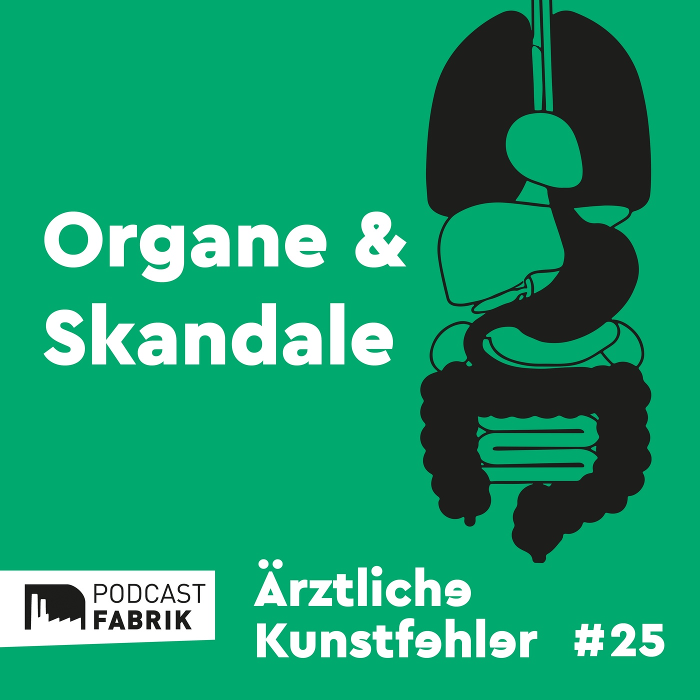 Organe und Skandale - Die Welt der Organspende