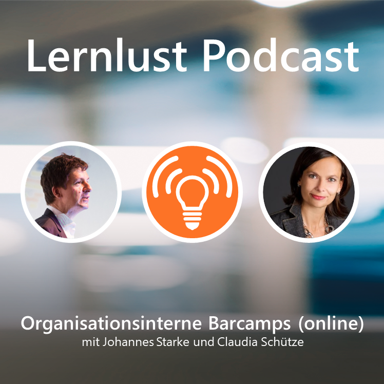 LERNLUST #2 // Organisationsinterne Barcamps (online)