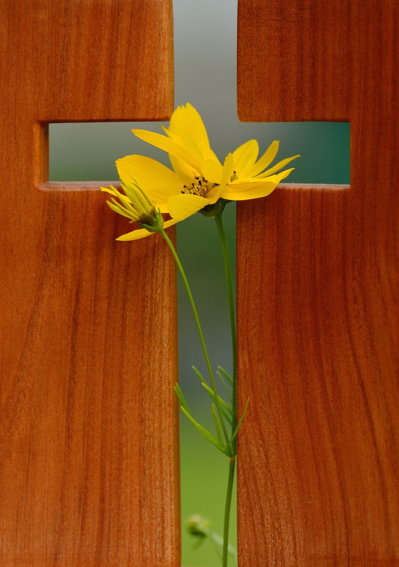 Gott ist ein Gott des Trostes - trotz allem / in allem.