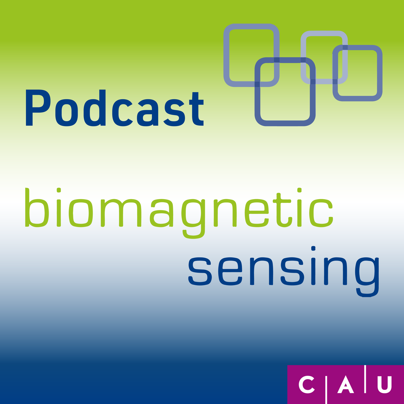 #2 Biomagnetic Sensing: Wenn das Wörterbuch stimmt, macht Forschung einfach Spaß!